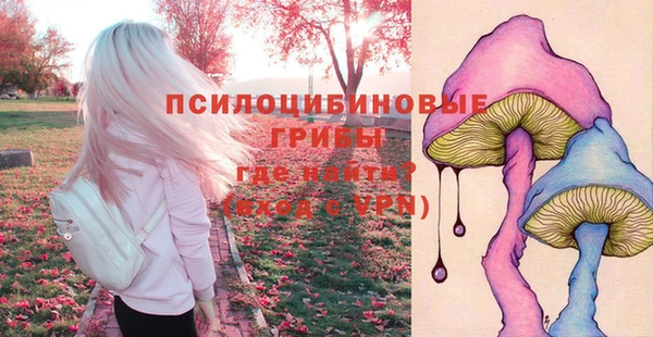 мяу мяу мука Гусев