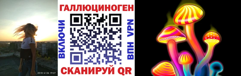 Псилоцибиновые грибы Cubensis  Ипатово 