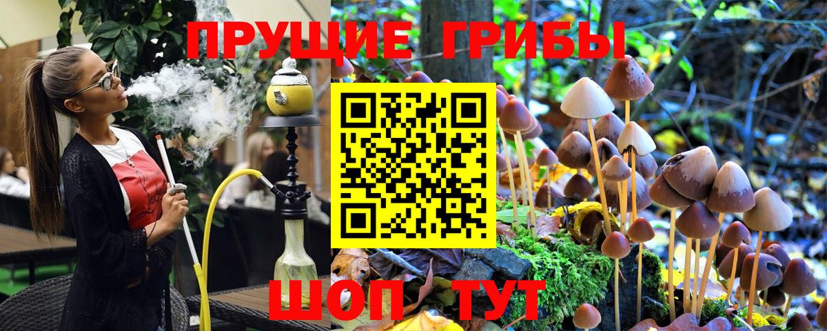 Галлюциногенные грибы мухоморы  Вход с VPN  Псилоцибиновые грибы мухоморы  Ипатово 